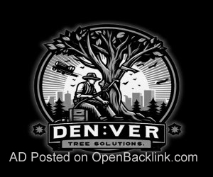 Affordable Tree Service Denver, Care, Removal Services in Denver Co | Denver Tree Solutions
